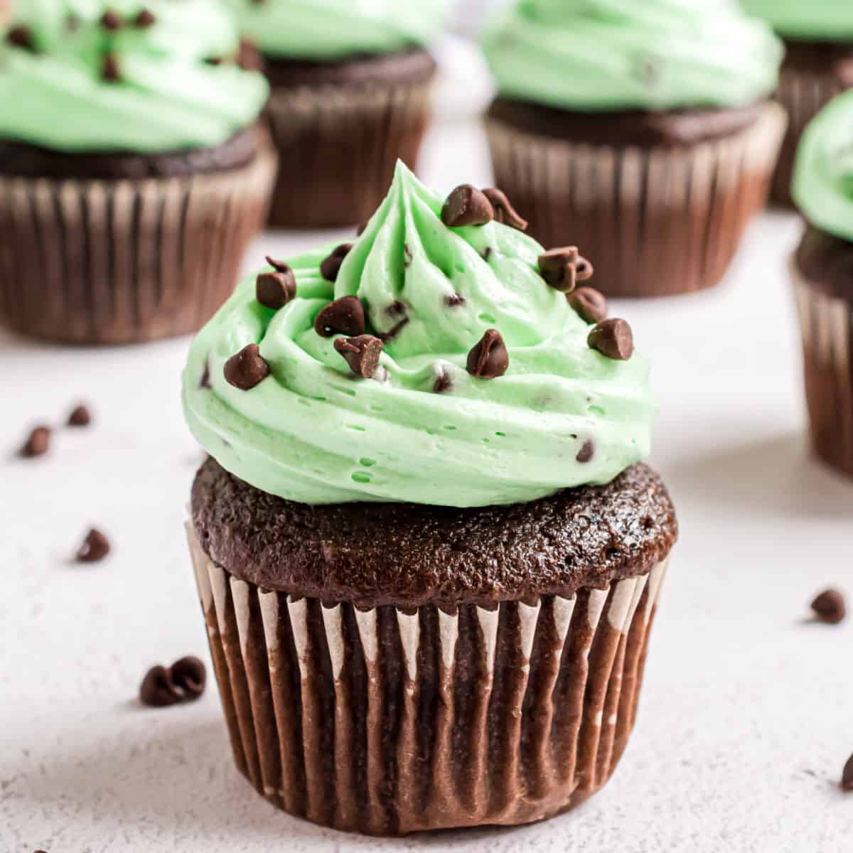 Mint Chocolate Chip Cupcake
